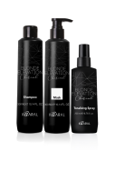 Blonde Elevation Charcoal Shampoo, Mask, Tonalizing Spray