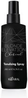 Blonde Elevation Charcoal - Tonalizing Spray